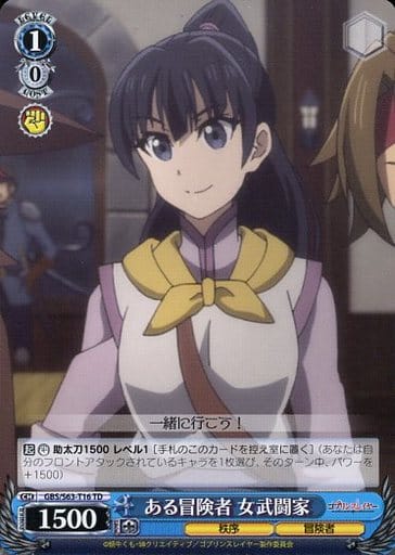 [TD] GBS/S63-T16 ある冒険者 女武闘家