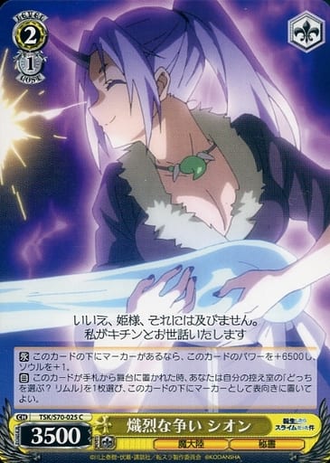[C] TSK/S70-025 熾烈な争い シオン
