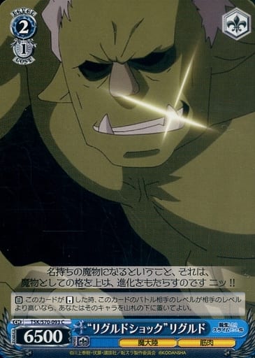 [C] TSK/S70-093 “リグルドショック” リグルド