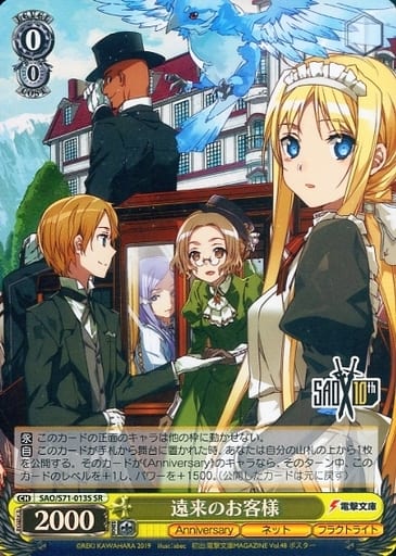 [SR] SAO/S71-013S 遠来のお客様