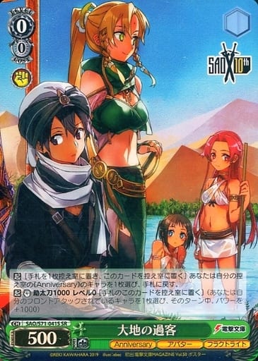 [SR] SAO/S71-041S 大地の過客