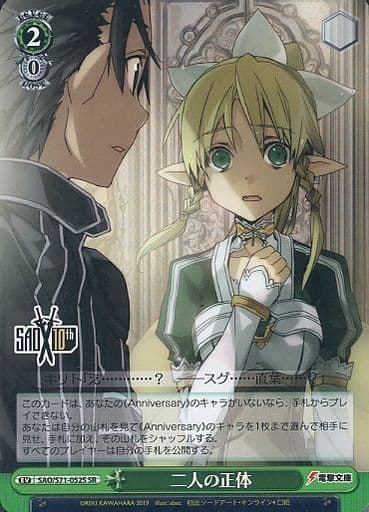 [SR] SAO/S71-052S 二人の正体