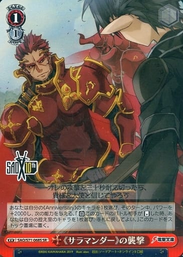 [SR] SAO/S71-068S 《サラマンダー》の襲撃