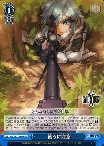 [SR] SAO/S71-096S 後ろに注意