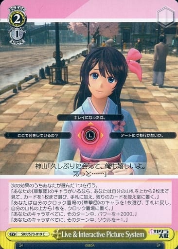 [C] SKR/S73-019 Live&Interactive Picture System