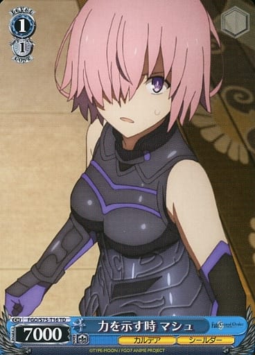 [TD] FGO/S75-T16 力を示す時 マシュ