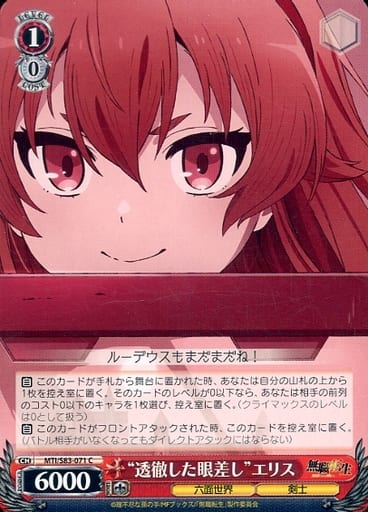 [C] MTI/S83-071 “透徹した眼差し”エリス