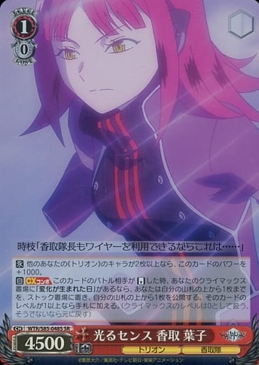 [SR] WTR/S85-048S 光るセンス 香取 葉子