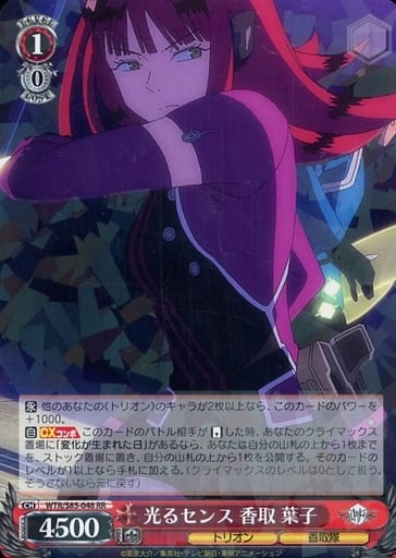 [RR] WTR/S85-048 光るセンス 香取 葉子