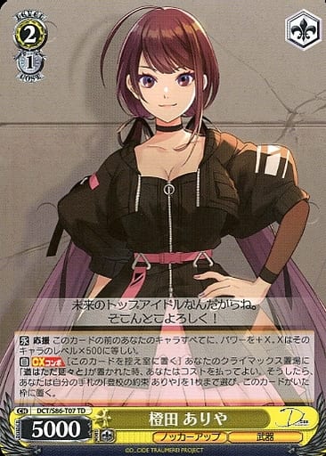 [TD] DCT/S86-T07 橙田 ありや