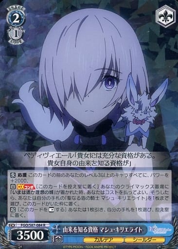 [R] FGO/S87-084 由来を知る資格 マシュ・キリエライト