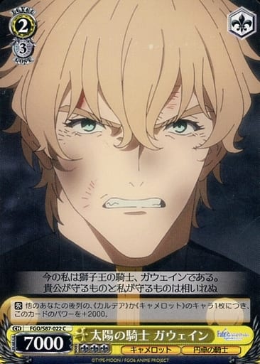 [C] FGO/S87-022 太陽の騎士 ガウェイン