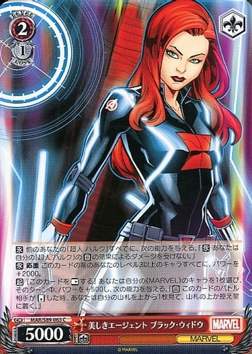 [C] MAR/S89-063 美しきエージェント ブラック・...