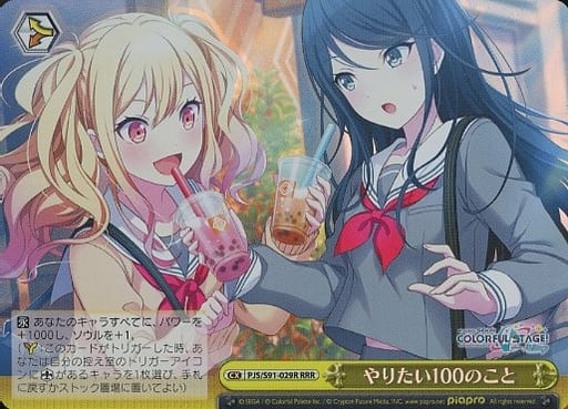 [RRR] PJS/S91-029R やりたい100のこと