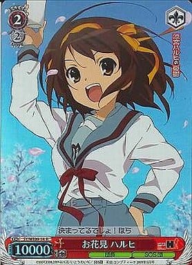 [R] SY/WE09-14 お花見 ハルヒ(ホロ)