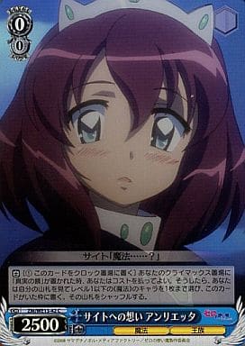 [C] ZM/WE13-42 サイトへの想い アンリエッタ(ホロ)