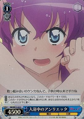 [C] ZM/WE13-43 入浴中のアンリエッタ(ホロ)