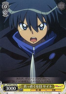 [TD] ZM/WE13-T02 真っ直ぐな目 サイト