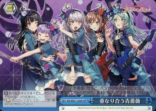 [HR] BD/WE31-030H 重なり合う青薔薇