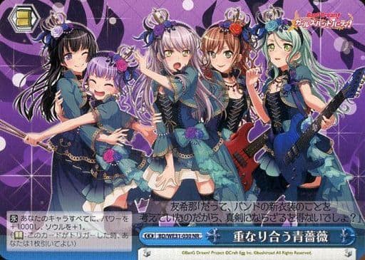 [NR] BD/WE31-030 重なり合う青薔薇