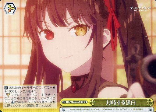[CR] DAL/WE33-024 対峙する黒白