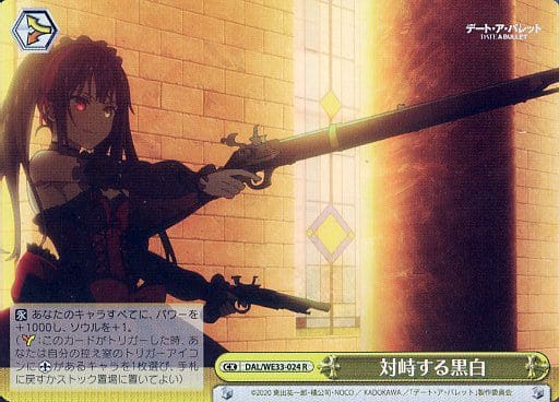 [CR] DAL/WE33-024 対峙する黒白(ホロ)