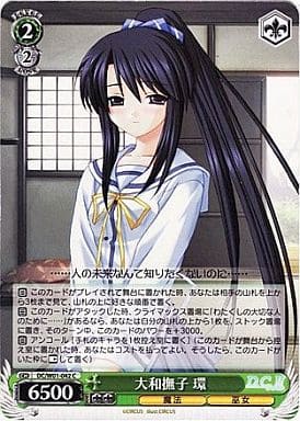 [C] DC/W01-042 大和撫子 環