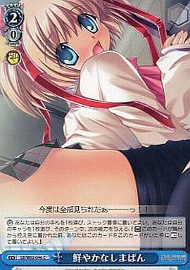 [C] LB/W02-096 鮮やかなしまぱん