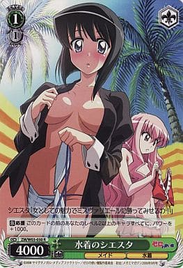 [R] ZM/W03-030 水着のシエスタ