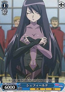 [U] ZM/W03-084 シェフィールド