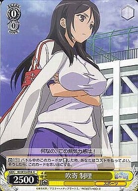 [C] ID/W13-016 吹寄 制理