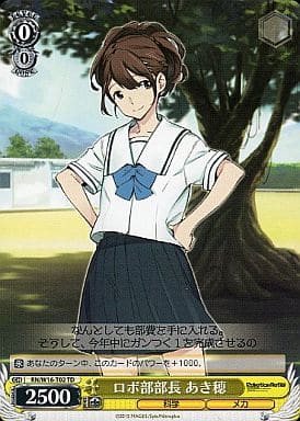 [TD] RN/W16-T02 ロボ部部長 あき穂