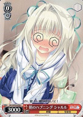 [C] DC3/W18-058 朝のハプニング シャルル