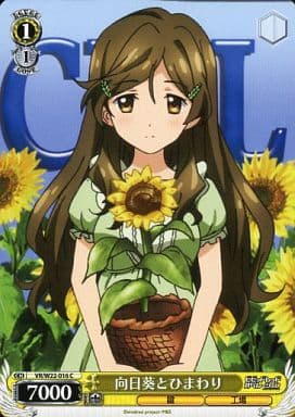 [C] VR/W22-016 向日葵とひまわり