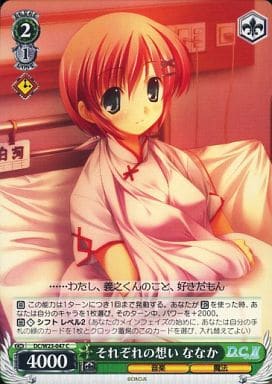 [C] DC/W23-047 それぞれの想い ななか