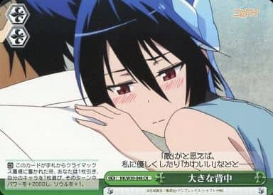 [CR] NK/W30-048 大きな背中