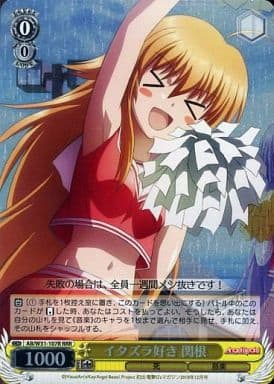 [RRR] AB/W31-107R イタズラ好き 関根