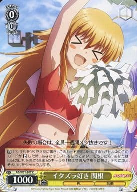 [C] AB/W31-107 イタズラ好き 関根