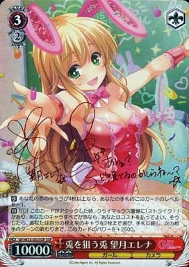 [SSP] GF/W33-053SSP 兎を狙う兎 望月エレナ(サイン入り)