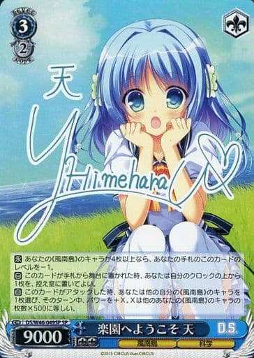 [SP] DS/W46-049SP 楽園へようこそ 天(サイン入り)