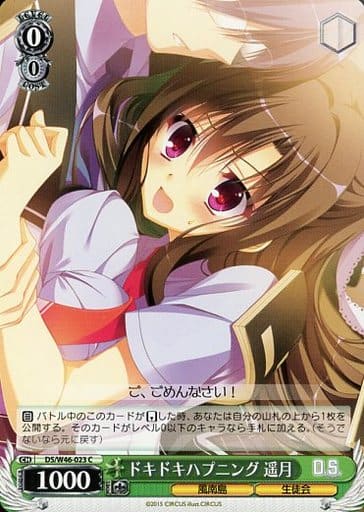 [C] DS/W46-023 ドキドキハプニング 遥月