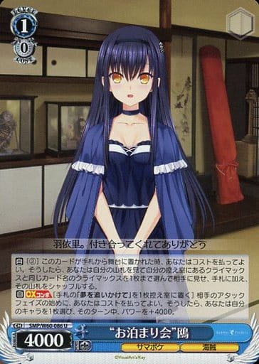 [U] SMP/W60-086 “お泊り会”鴎
