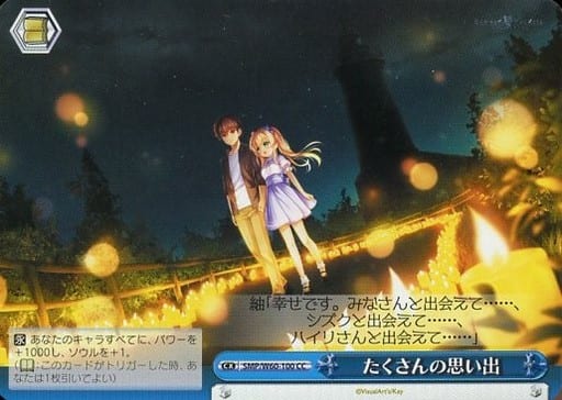 [CC] SMP/W60-100 たくさんの思い出