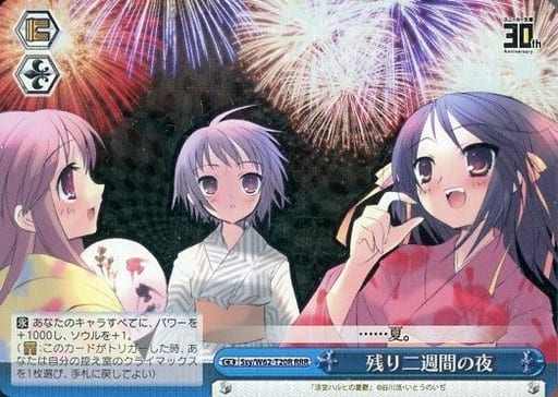 [RRR] Ssy/W62-T20R 残り二週間の夜