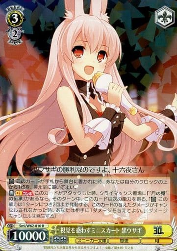[R] Smi/W62-010 視覚を惑わすミニスカート 黒ウサギ