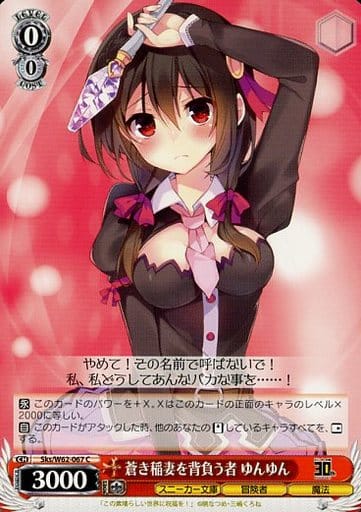 [C] Sks/W62-067 蒼き稲妻を背負う者 ゆんゆん