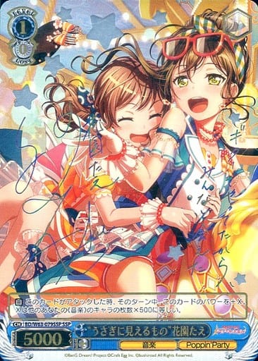 [SSP] BD/W63-079SSP “うさぎに見えるもの”花園たえ(サイン入り)
