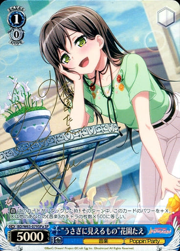 [SP] BD/W63-079SPa “うさぎに見えるもの”花園たえ(サイン入り)