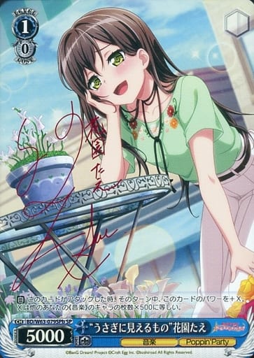 [SP] BD/W63-079SPb “うさぎに見えるもの”花園たえ(サイン入り)