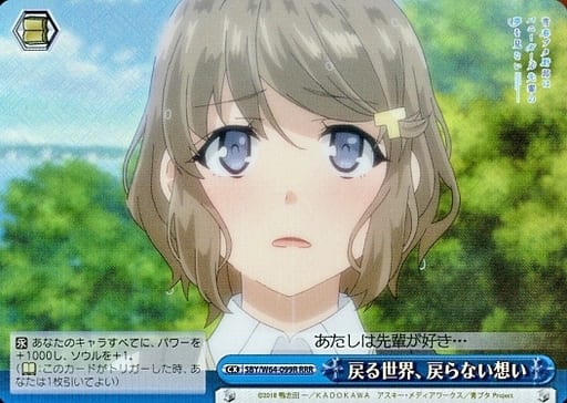 [RRR] SBY/W64-099R 戻る世界、戻らない想い